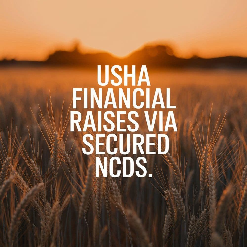 Usha Financial Raises ₹100M via Secured NCDs to Expand MSME and EV Lending.