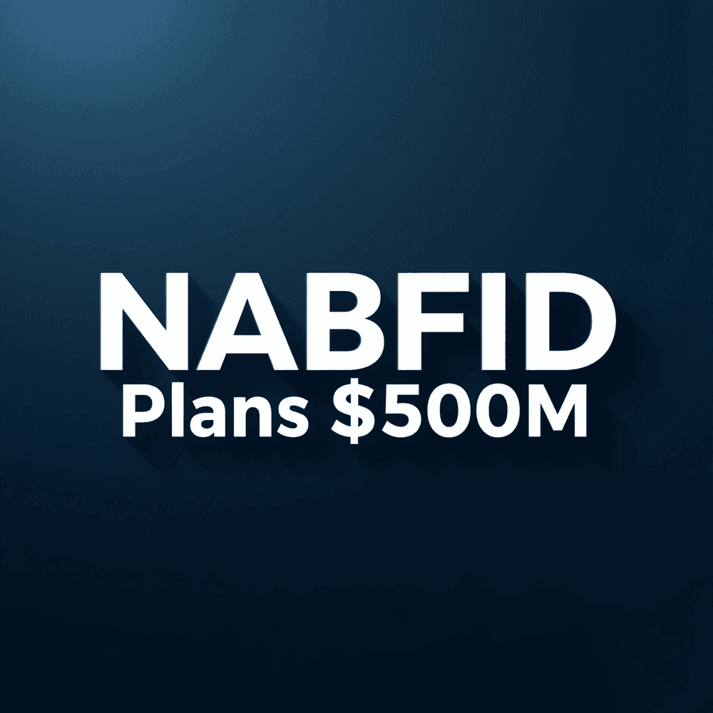 NaBFID Plans $500M Bond Issue Backed by MIGA Guarantee